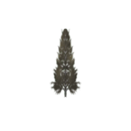 Tree Pine Large